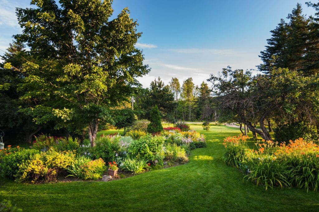 Beautiful front yard