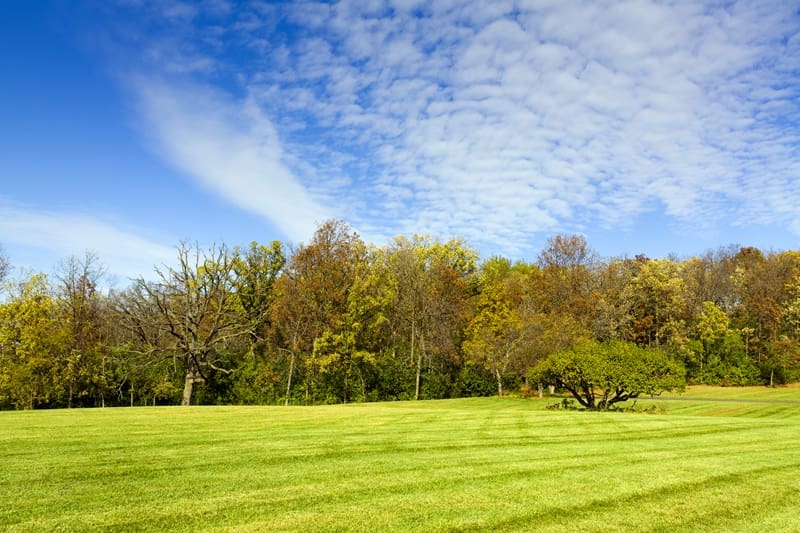 Lawn care in Algonquin IL