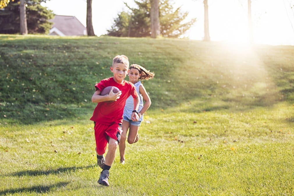 lawn service algonquin il
